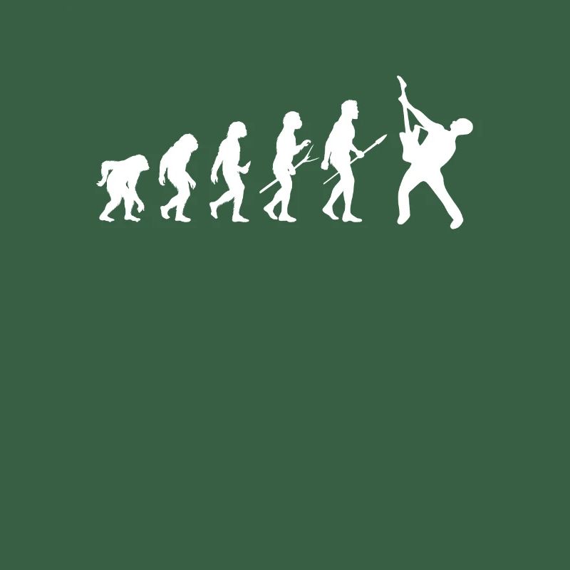 evolution guitariste