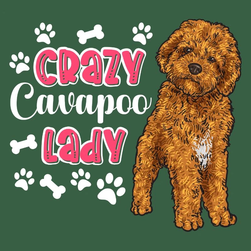 Cavapoo Cavoodle Capoodle Hund