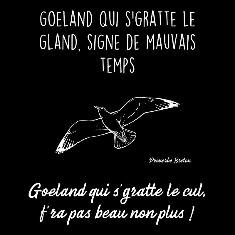 Proverbe breton 1