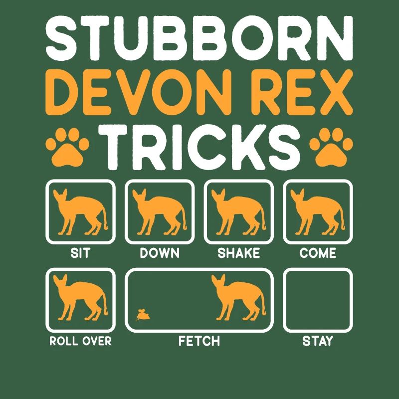 Tricks têtus Devon Rex Cat