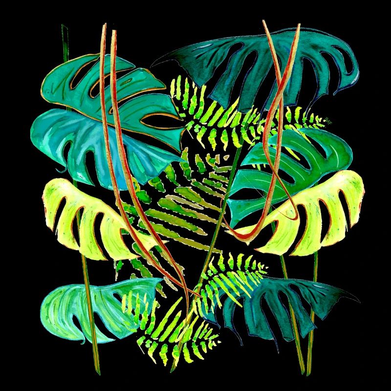 forêt tropicale monstera