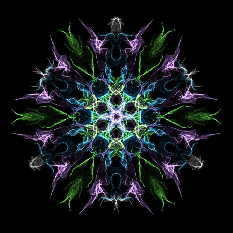 Purple Flower