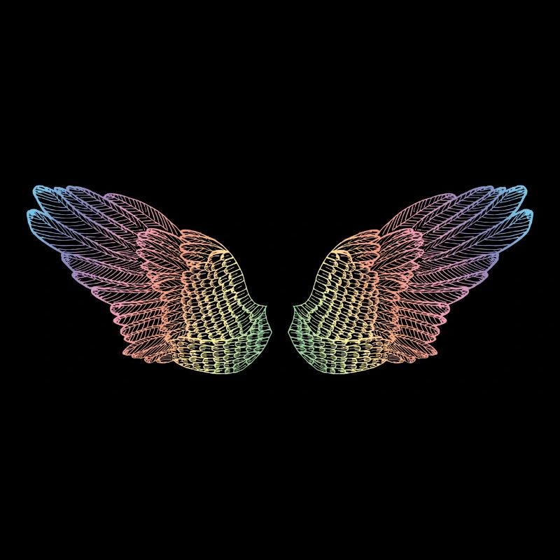 Regenbogen Flügel Flugmodus
