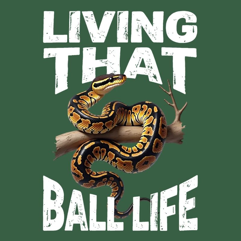 Python roi Serpents Amateurs de terrarium Python