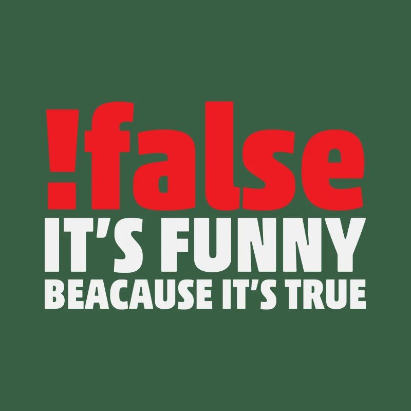 False it's funny because it's true Programmer