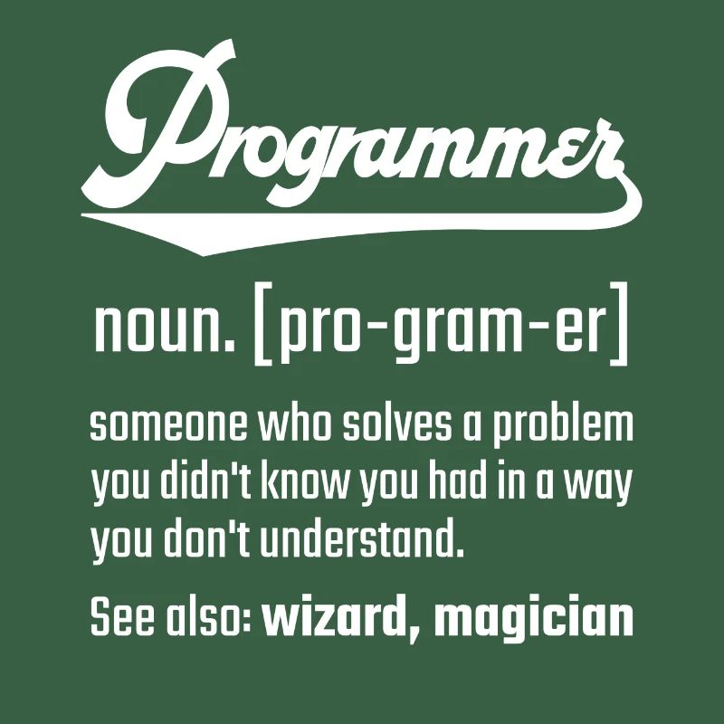 Programmer programmer noun noun definition
