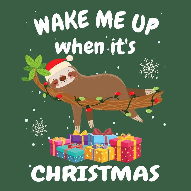 Faultier Wake me up when it is Christmas