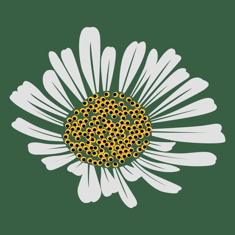 Gänseblümchen