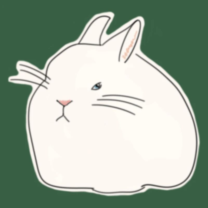 Lapin Sévère // Grumpy Rabbit
