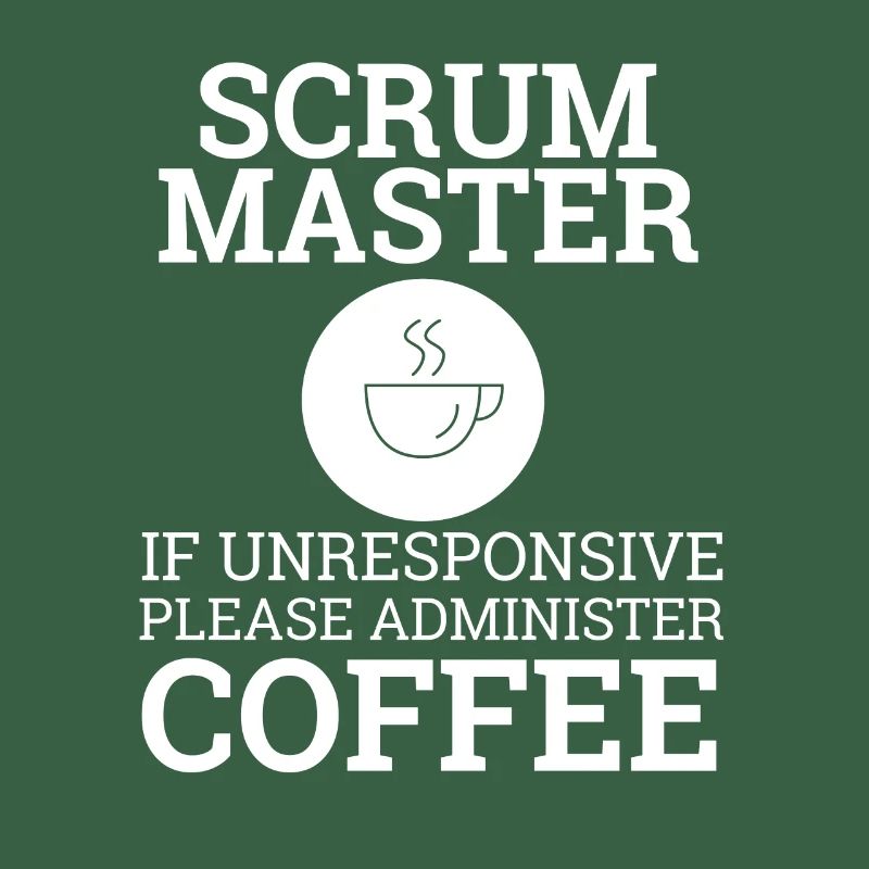 « Scrum Master » | Scrum Master