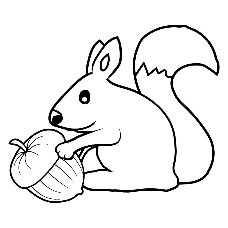 Fröhliches Eichhörnchen Eichel