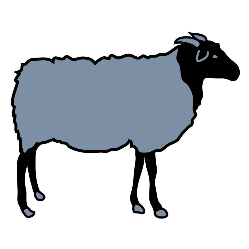 sheep