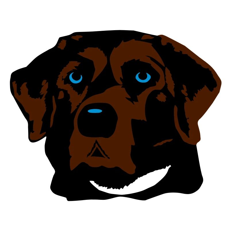 Labrador braun, blond oder schwarz