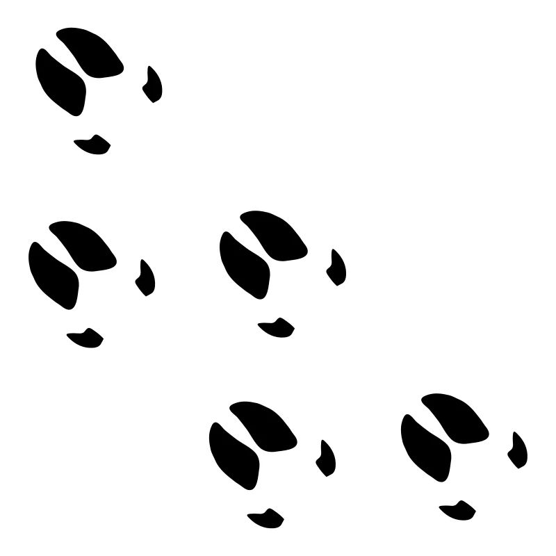 empreintes traces