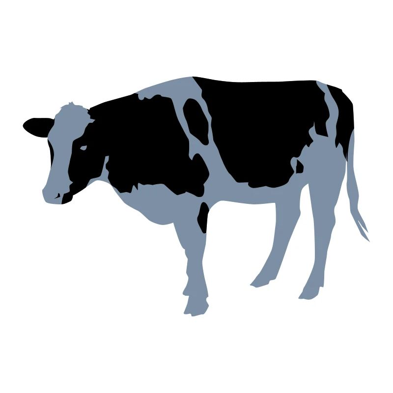 la vache