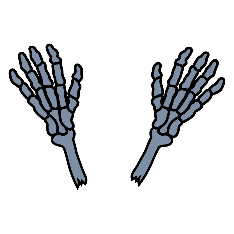 2 Skeleton Hands Bones