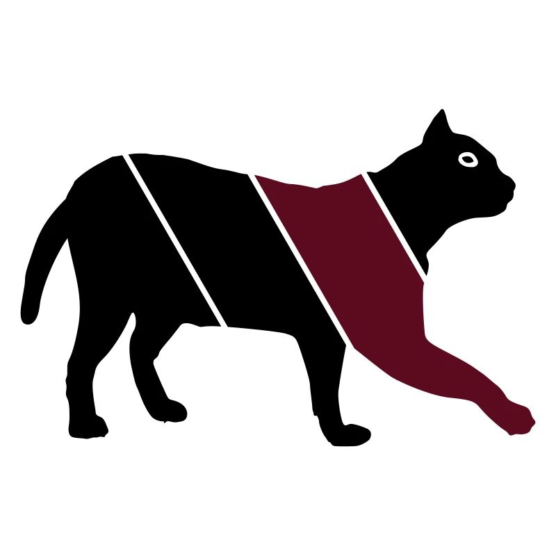 Cat 1