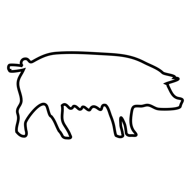 cochon