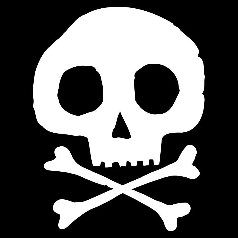 Skull and bones