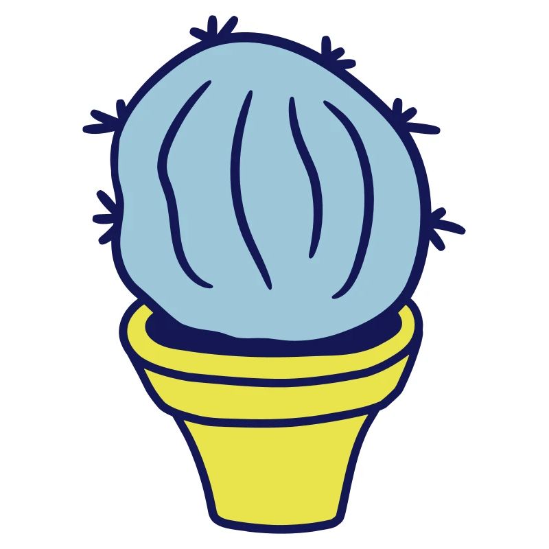 Petit Cactus Épines Désert Cactus Pot de Fleur