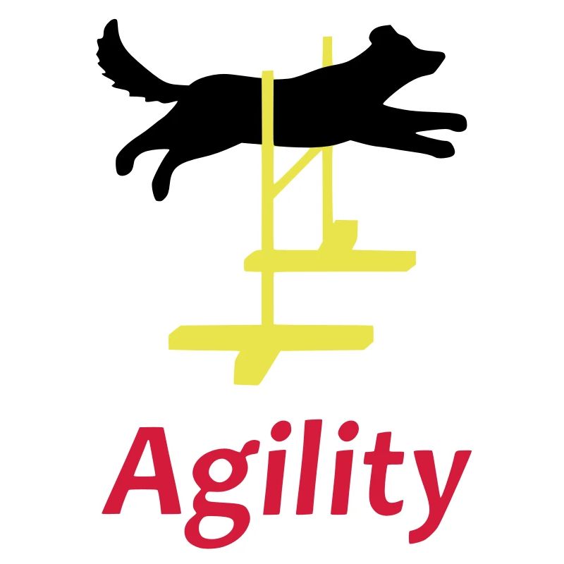Agility 1