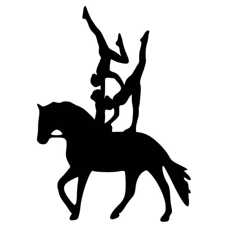 Vaulting three exercise freestyle