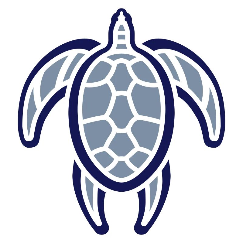 wee turtle