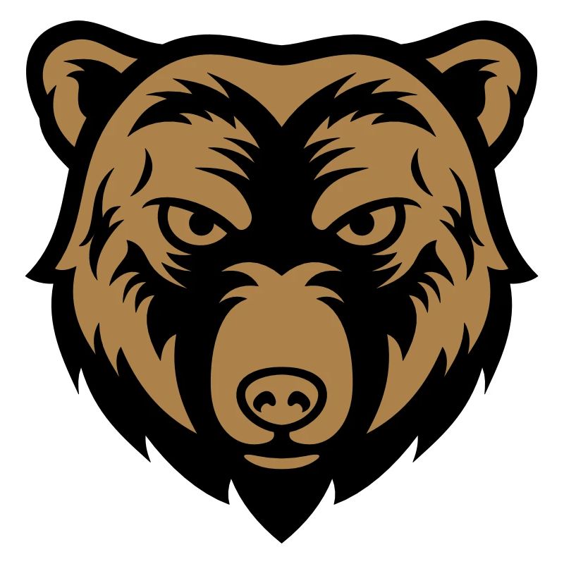 bear face 2