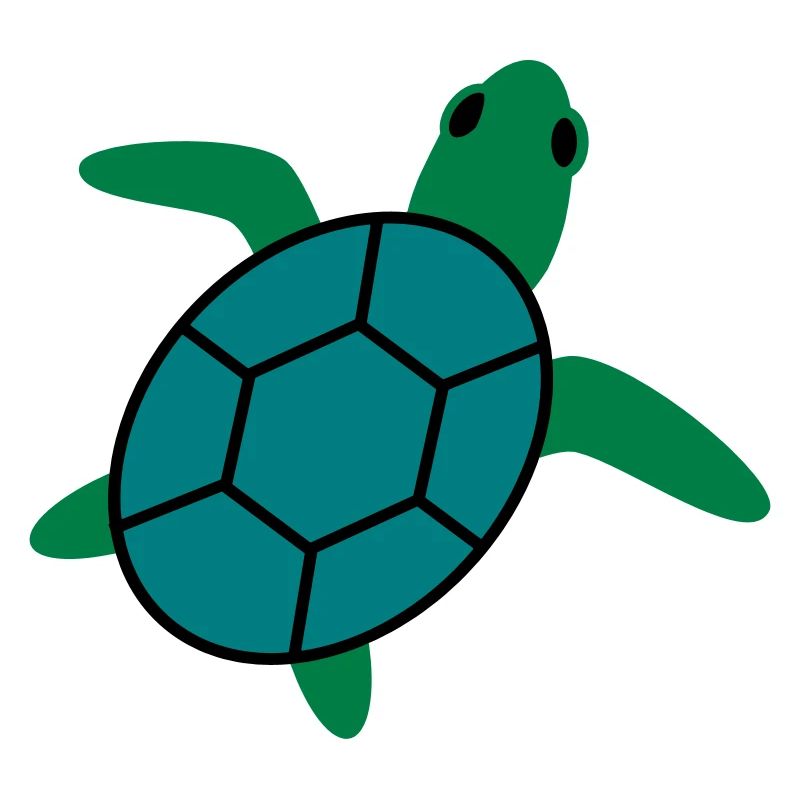 turtle