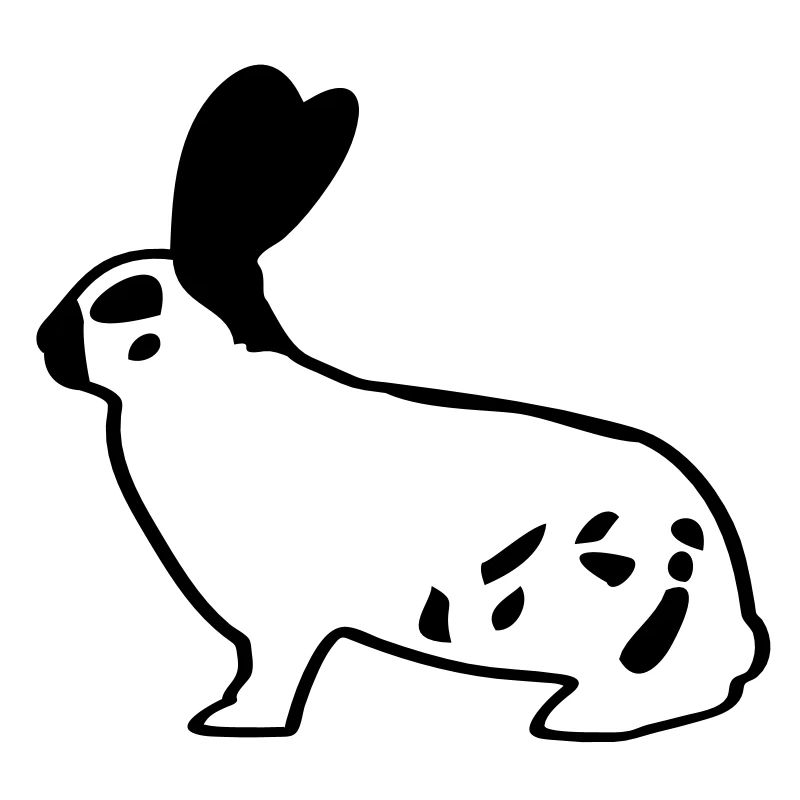 German giant piebald rabbit rabbit bunny