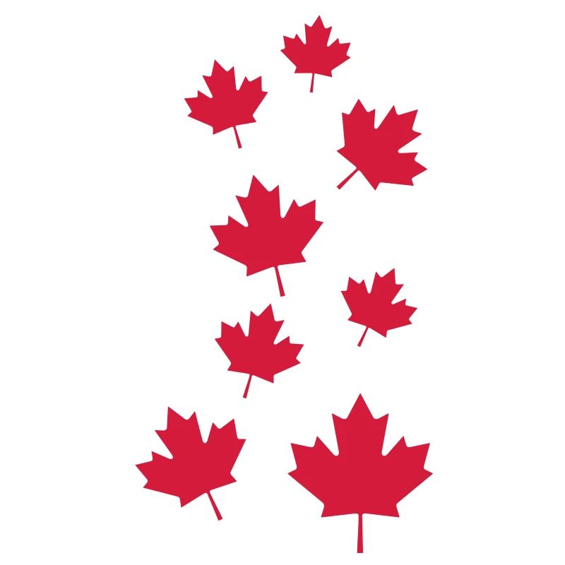 Canada maple leafs