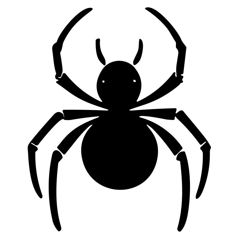 Spinne