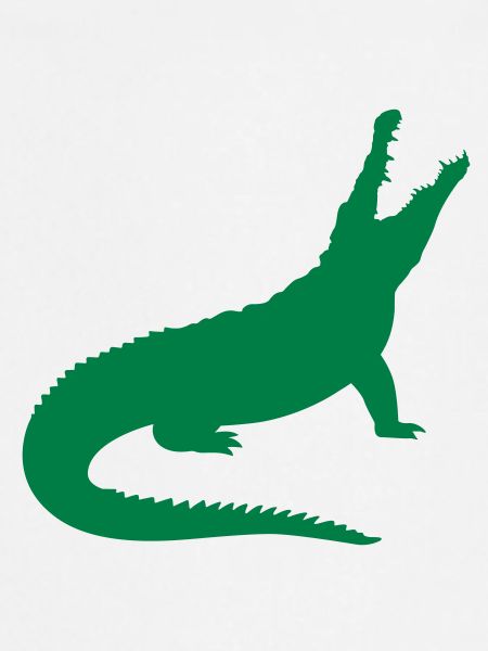 Un crocodile