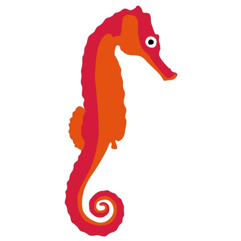 seepferdchen_082012_a_3c