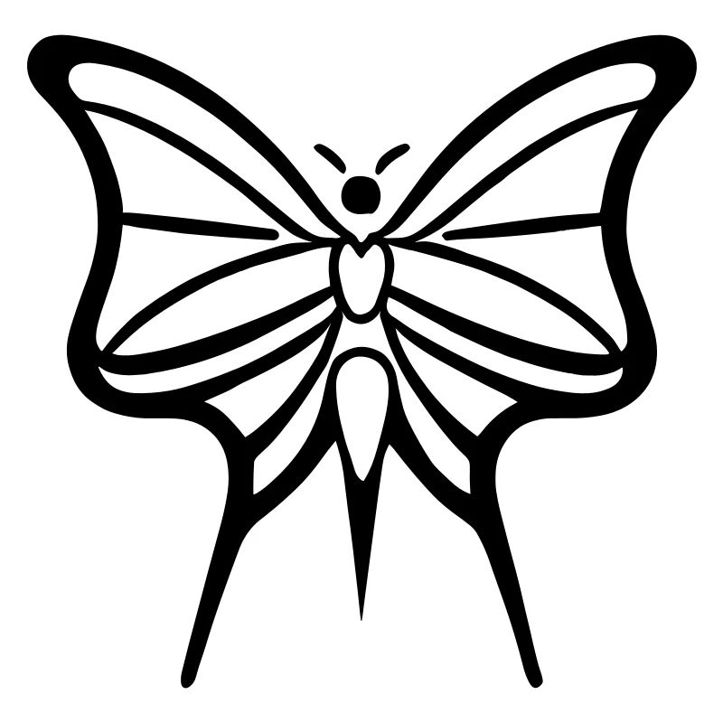 Papillon