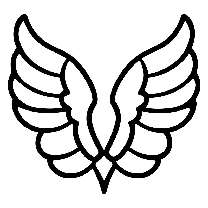 Ailes d'ange