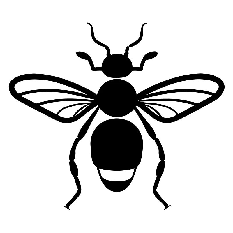 Flea insect