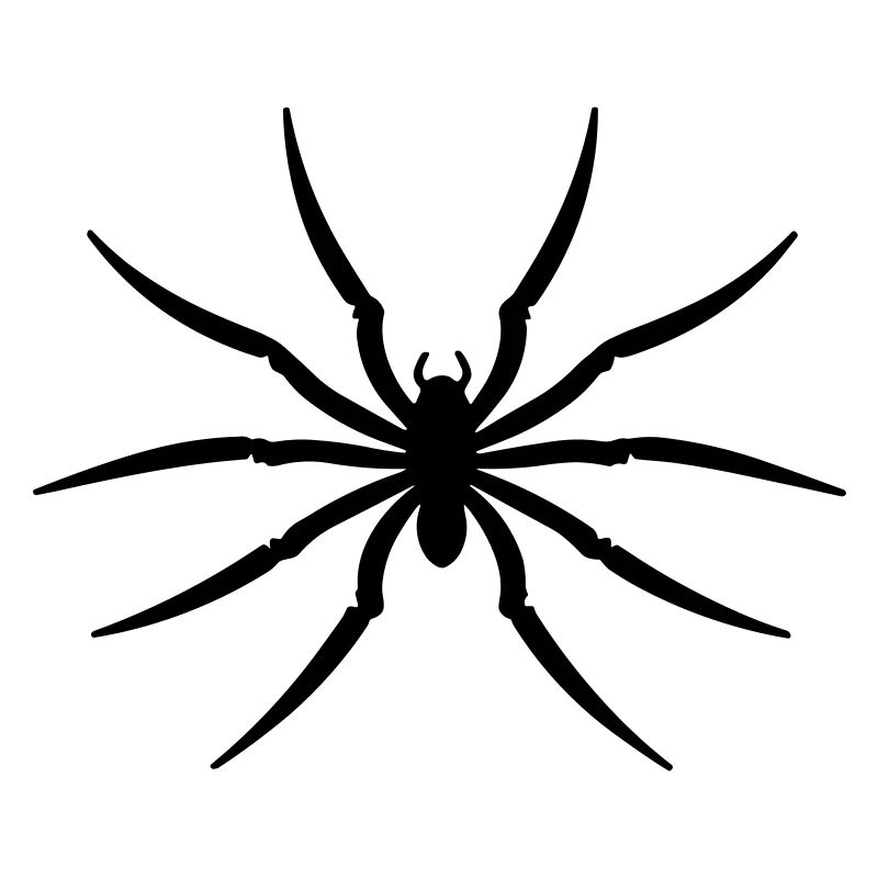 spider