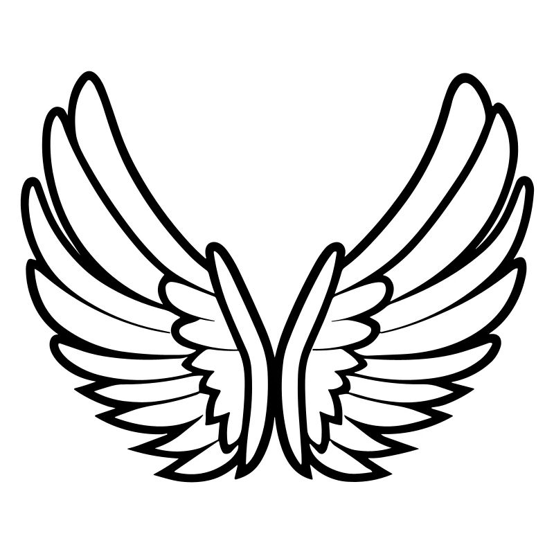 Ailes d'ange