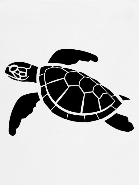 tortue