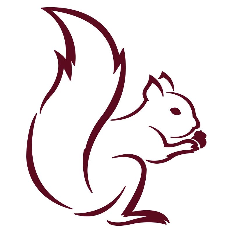 Eichhörnchen