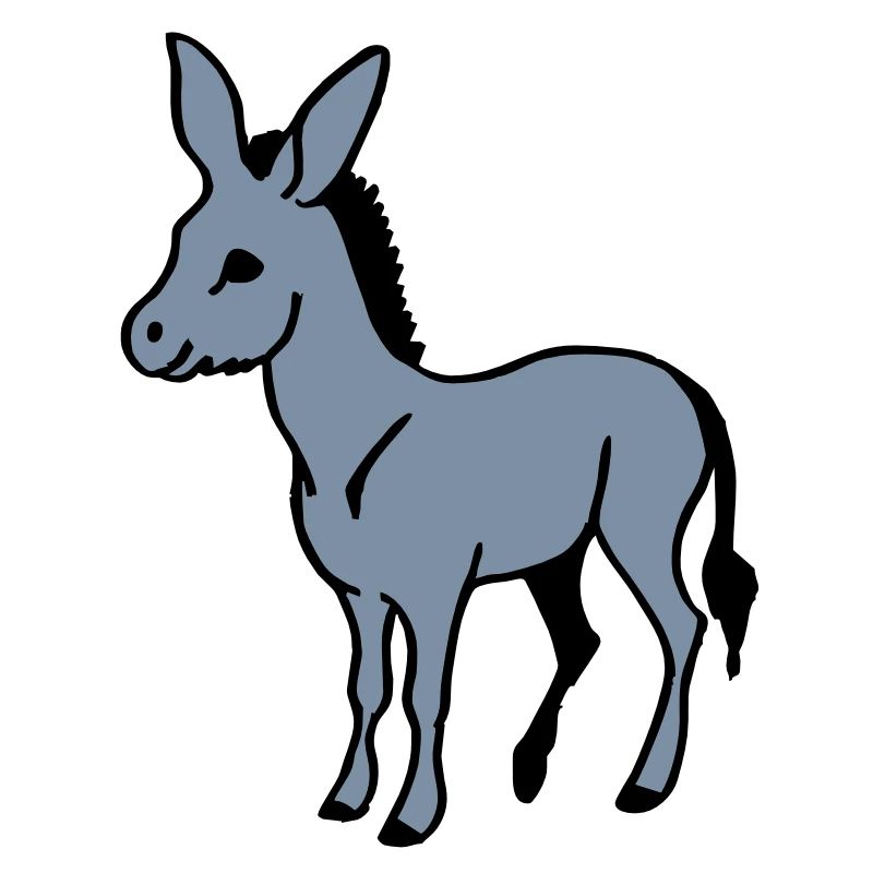 Âne