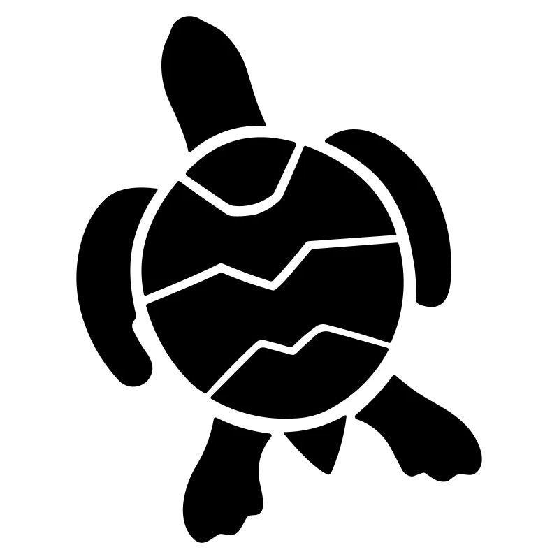 tortoise