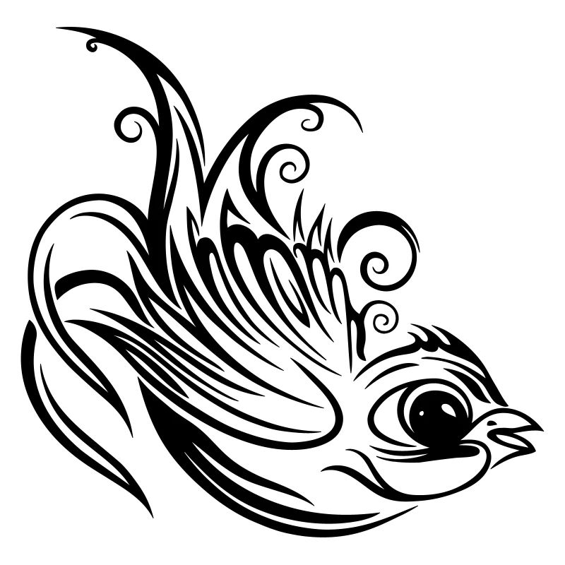 Swallow, spring, spring messenger