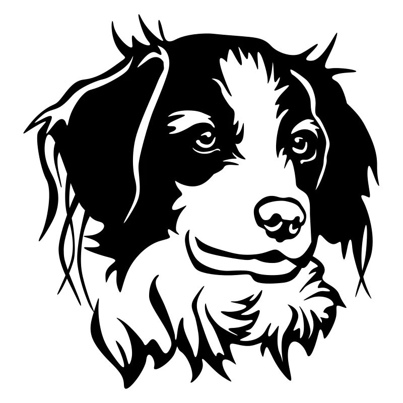Kooikerhondje head
