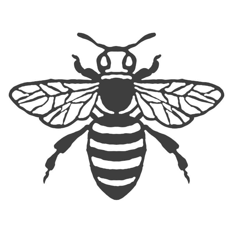 Bee Whisperer - Ape - Apicoltore - 