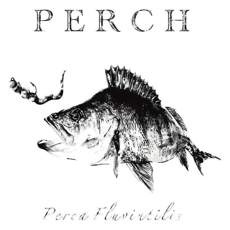 Perch Angler - Artificial lures for predatory fish