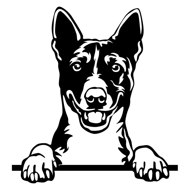 Chef Basenji