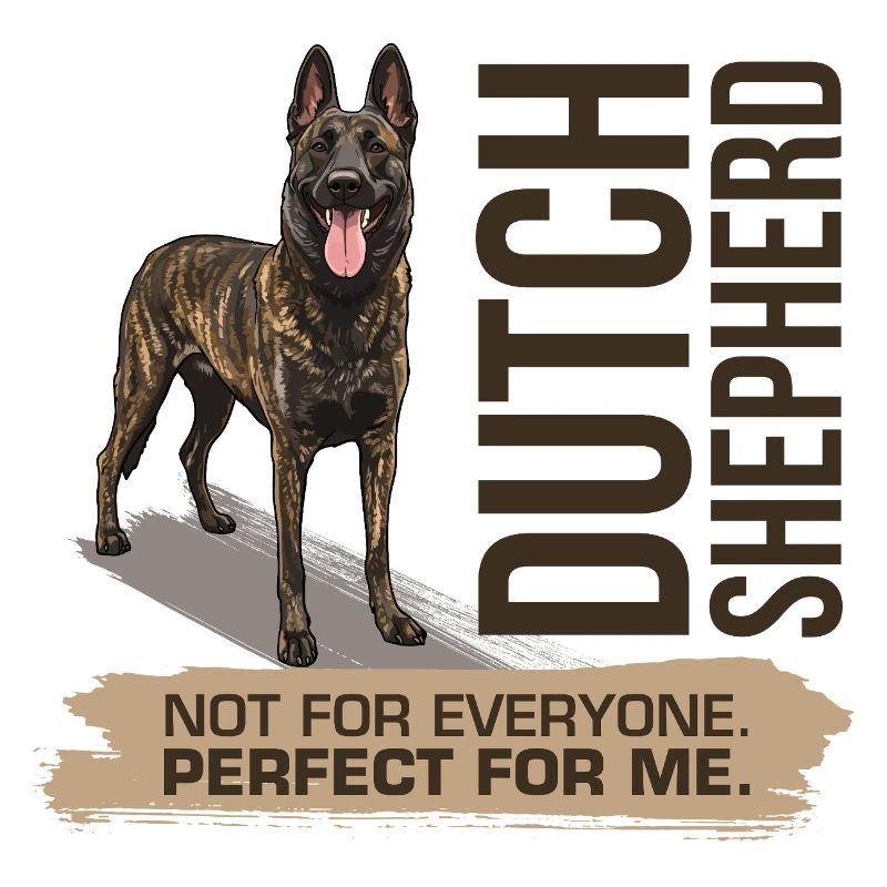 Dutch Shepherd - Dutchie 