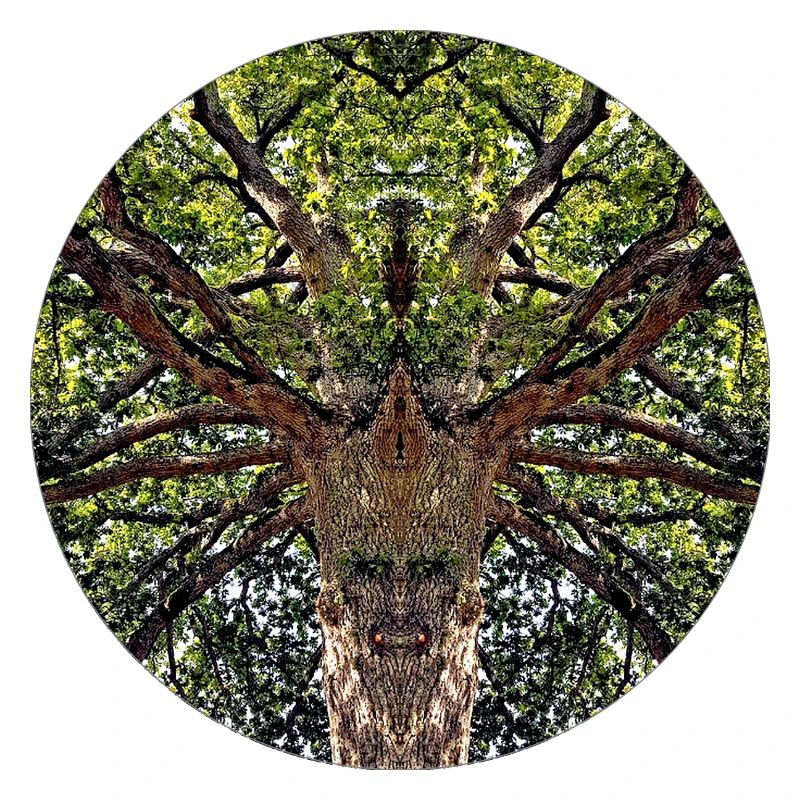 Nature creatures in treetop